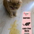thumbnail image 5 of Oliegs Blanket Custom Photo Keepsake Memorial For Cat Lover With Printing And Durable Material For Home Desk, 5 of 5