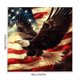 thumbnail image 3 of Independence Day Holiday Party Celebration Shower Curtain Bathroom Partition Decoration Hanging Curtain, 3 of 6