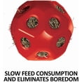 thumbnail image 2 of Schneiders Slow Feed Hay Ball Feeder for Horses | Color Red Horse Stable Companion | Slow Feed Consumption | Boredom Buster | Durable Polyethylene, 2 of 8