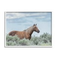 thumbnail image 4 of Stupell Industries Stallion Horse Among Bushes Clear Blue Sky Graphic Art White Framed Art Print Wall Art, Design by Lauri McFerrin, 4 of 5