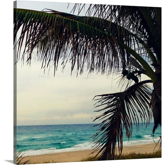 Great BIG Canvas | "Palm and Beach" Canvas Wall Art - 24x24