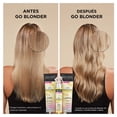 thumbnail image 4 of Spray aclarador John Frieda Go Blonder 105 ml, 4 of 5