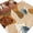 Khaki Light Brown, variant on Abstract Tropical Boho Area Rugs 8'x10', Washable Small Throw Rugs for Living Room Patio, Vintage Animals Print Palm Indoor Outdoor Rug Non-Slip Low Pile Carpet Runner Reversible Floor Mats