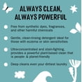 thumbnail image 4 of Molly's Suds 2x Concentrated Liquid Laundry Detergent for Sensitive Skin, 90 Loads, (Unscented), 4 of 5