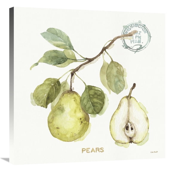 Global Gallery's 'My Greenhouse Fruit I' By Lisa Audit Stretched Canvas Wall Art