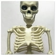 thumbnail image 2 of Halloween Skeleton Decorations with Posable Joints Skeletons for Halloween Party Haunted House Props Decorations, 2 Packs, Style 2, 2 of 9