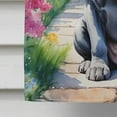 thumbnail image 4 of Neapolitan Mastiff Spring Path House Flag 28 in x 40 in, 4 of 5