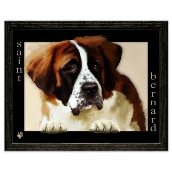 Saint Bernard Dog by Scott Rogers Paws on the Picture Frame 13x10 Framed Art Print