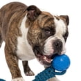 thumbnail image 3 of One Paw, Tug Rope & Ball Dog Toy, Tug of War, Blue, for Dogs, 3 of 6