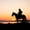 Cowboy Silhouette, variant on Elephant Stock The Drive Wall Art - Horizontal Multi Panel Canvas - Living Room Wall Decor - Transportation Multi Panel - Brown And Green Decor By Dan Ballard - 45" x 28"