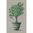 thumbnail image 2 of Norkus, Julie 16x24 White Modern Wood Framed Museum Art Print Titled - Asymmetrical Topiary, 2 of 4
