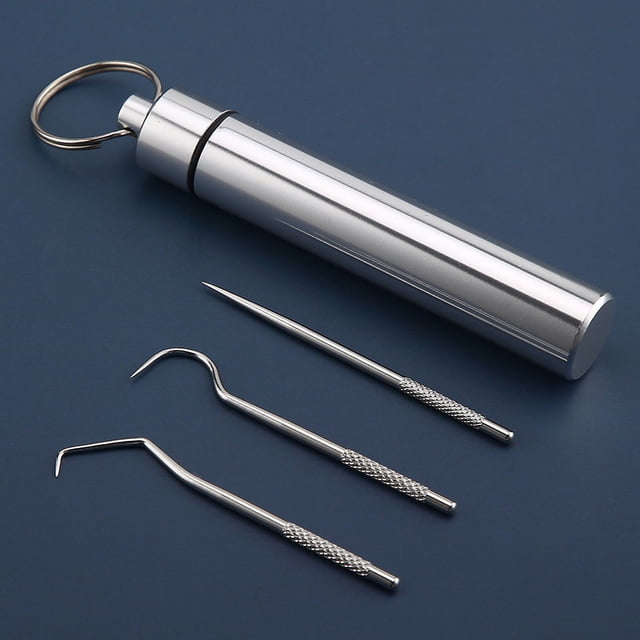 Palillo de dientes de acero inoxidable 304, cartucho de almacenamiento portátil, herramienta de limpieza para el cuidado bucal y los cálculos dentales