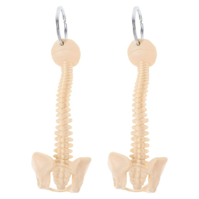 KAKOWELY keychain 2pcs Realistic Human Spine Keychain Stylish Backpack Hanging Accessory Mini Spine Keyring Pendant For Anatomy Teaching And Medical Display