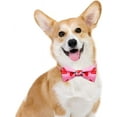 thumbnail image 3 of azuza Dog Collar with Bow Soft & Comfy Bowtie Dog Collar for Small Medium Large Dogs, 3 of 7