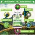 thumbnail image 3 of Premium Chlorella Detox Superfood Supplement, 1200mg Per Serving, Naturally Occuring B Vitamins, Minerals, Chlorophyll and CFG, 180 Vegan Capsules, 3 of 5