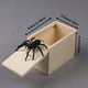 thumbnail image 2 of Caja de broma sorpresa de madera Caja de regalo de dinero de Halloween Broma Navidad Falso juguete de goma para saltar seitruly FN2300-02, 2 of 7