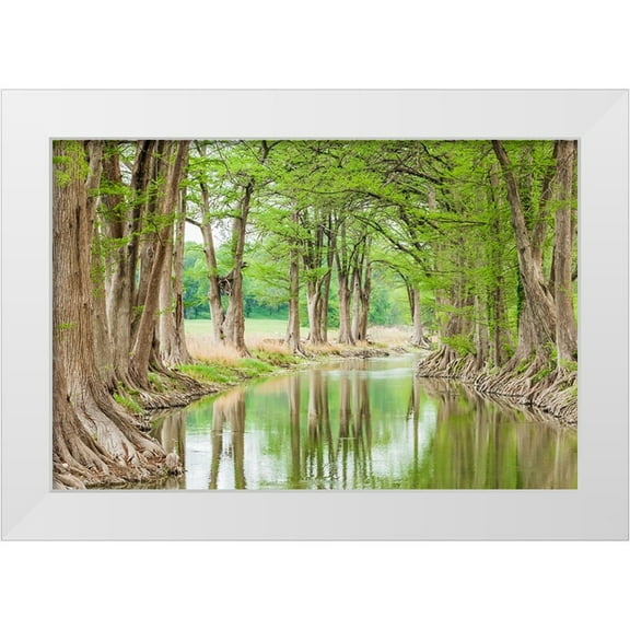Wilson, Emily M. 14x11 White Modern Wood Framed Museum Art Print Titled - Waring-Texas-USA-Trees along the Guadalupe River in the Texas Hill Country