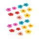thumbnail image 3 of 20 piezas de flores secas prensadas Zhivalor Color mezclado, 3 of 8