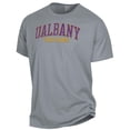 thumbnail image 2 of Men's ComfortWash Gray Albany Great Danes Garment Dyed T-Shirt, 2 of 3