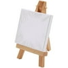 RVS BAGGED MINI EASEL/CANVAS