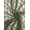 Olive, variant on Floral 4-Way Stretch Nylon/Spandex Lace, Olive
