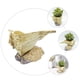 thumbnail image 3 of UPGRATOR 1Ud Maceta Para Plantas Forma Concha Material Resina Decorativa Para Casa, 3 of 8