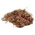 thumbnail image 1 of Artificial Micro Landscape Decorative Green Plants, Realistic Silk Fabric & Sponge Tree Powder, Miniature Eco-Friendly Aquarium Terrarium Decor, No Maintenance Needed - 3g Mix Colors, 1 of 8