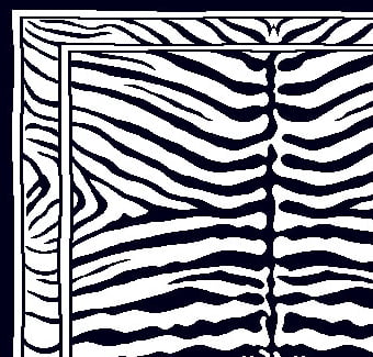 Woven Trends Zone Modern Area Rug with Bordered Animal Print, 2'X3' African Exotic Carpet Rug with Jute Backing, Soft-Durable | Fade-Resistant Rugs for Living Room, Bedroom - Zebra Print