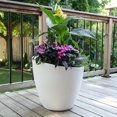 Modesto 20in Round Planter White 20in x 20in x 20in 8 Gallons of