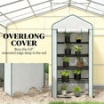 thumbnail image 6 of Portable Greenhouses Small Portable Greenhouse,Convenient Mini Greenhouse,Small Greenhouses, 6 of 7