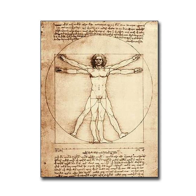 Vitruvian Man by Leonardo Da Vinci Premium Gallery Wrapped Vitruvian Man by Leonardo Da Vinci Premium Gallery Wrapped