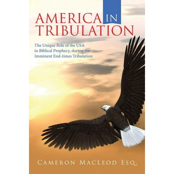 America in Tribulation: The Unique Role of the Usa in Biblical Prophecy, During the Imminent End-Times Tribulation (Paperback)