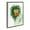 Gray, variant on Kate and Laurel Sylvie Jungle King Framed Canvas Wall Art by Faryn Hughes, 18x24 Natural, Modern Abstract Floral Lion Art for Wall