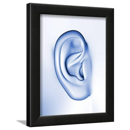 Human Ear Framed Print Wall Art By PASIEKA
