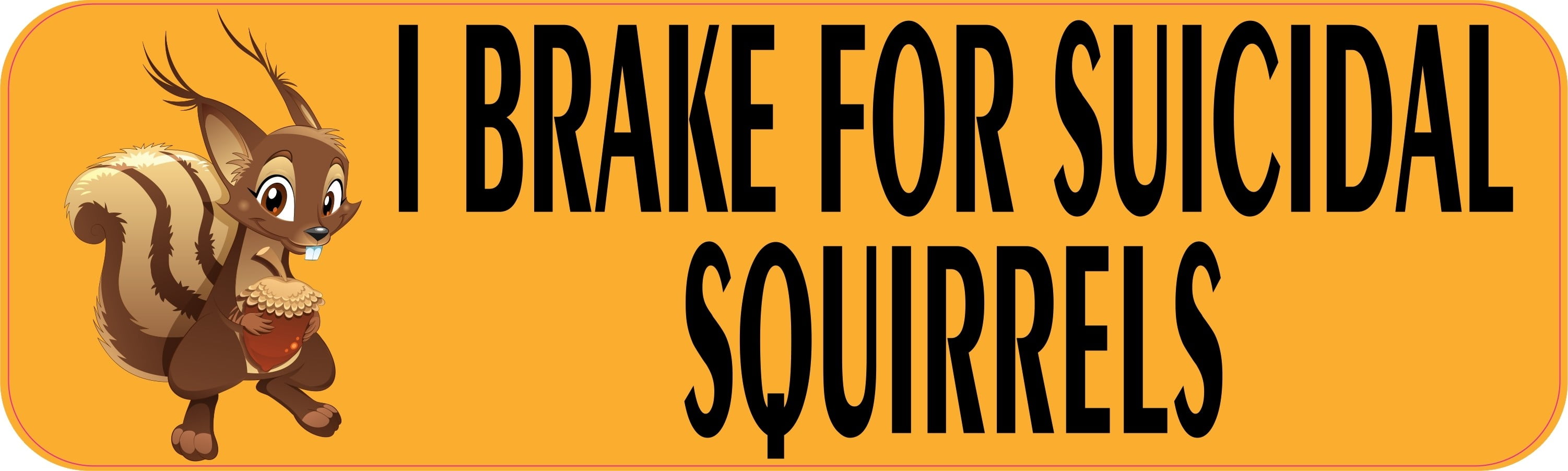 thatlilcabin I Break for Squirrels AS578 6 Sticker Decal
