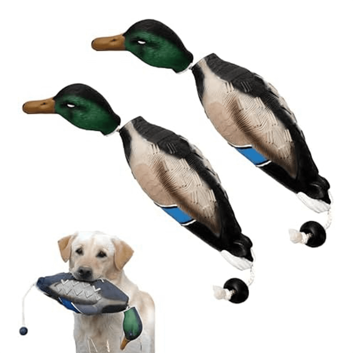 Symkmb 2 Pcs Pheasant Dummy Bumper Toy for Hunting Retriever Dog Training, Hunting Duck Recognition Trainers,Ducks EVA