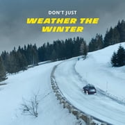 Michelin X-Ice Snow Winter 215/65R17 99T Passenger Tire Fits: 2011-14 Ford Mustang Base, 2005-07 Chrysler 300 Touring