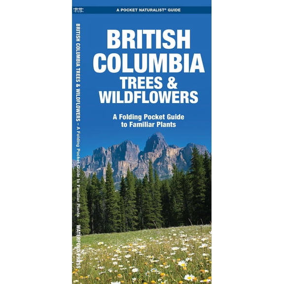 Summer Beach Activity Book For Kids Ages 8-12 : Crossword, Mazes, Coloring Pages, and So Much More - For 8-12 Year (Paperback)