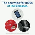 Clorox Disinfecting Cleaning Wipes – Variety Pack (5 Canisters, 425 Wipes Total)- With Paper Towel By OMA