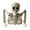 No extra colored skeletons, variant on 8.66x9.45in Half Body Skeleton Halloween Tabletop Decoration, Realistic Plastic Upper Torso Figurine for Spooky Party Mantel Shelf Desk, Lightweight Durable Prop for Indoor Outdoor Haunted Display