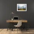 thumbnail image 3 of Sinclair, Kelly 24x18 White Modern Wood Framed Museum Art Print Titled - Magic Meadow Apples, 3 of 4