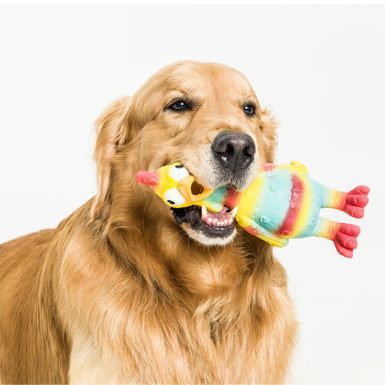 Playful Buddy Tie Dye En Dog Toy