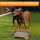 thumbnail image 5 of Tazón Grande Neater Pet Brands Champán Extra Grande para Perros, 5 of 9