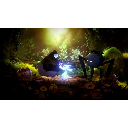 Ori and the Will of the Wisps - Nintendo Switch