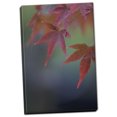 thumbnail image 2 of Gango Home Decor Japanese Maple VI by Rita Crane (Ready to Hang); One 24x36in Hand-Stretched Canvas, 2 of 4
