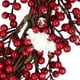 Northlight Berry Rouge avec des Accents Givrés Couronne de Noël Artificielle, 18 Pouces, Non Éclairé – image 5 sur 5