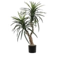 thumbnail image 1 of Vickerman 4' Artificial Marginata Bush in a Black Plastic Pot, 1 of 2
