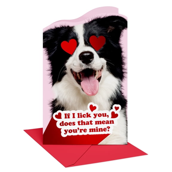American Greetings Romantic Valentine's Day Card (Playful Pup Love)