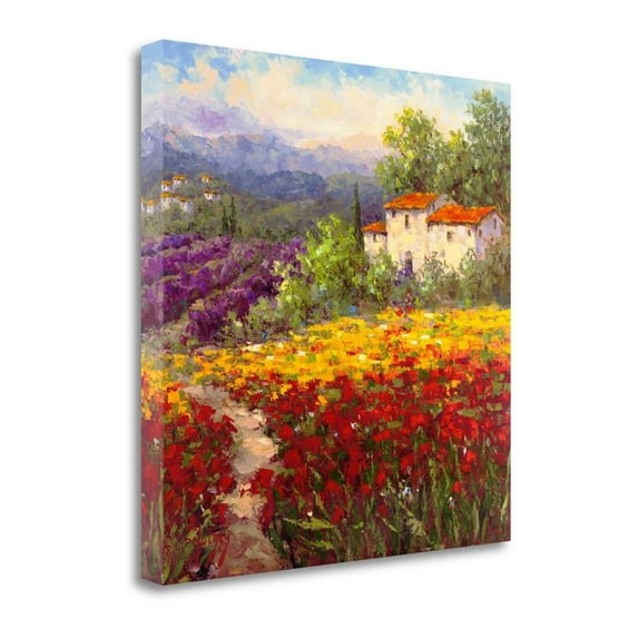 30" x 30" Fleur Du Pays II By Hulsey Wall Art Print on Canvas Fabric Multi-Color
