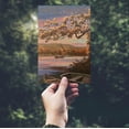 thumbnail image 2 of Wisconsin, Painterly Series, Lake at Dusk (4x6 Birch Wood Postcards, 2-Pack Stationary, Rustic Home Wall Decor), 2 of 5
